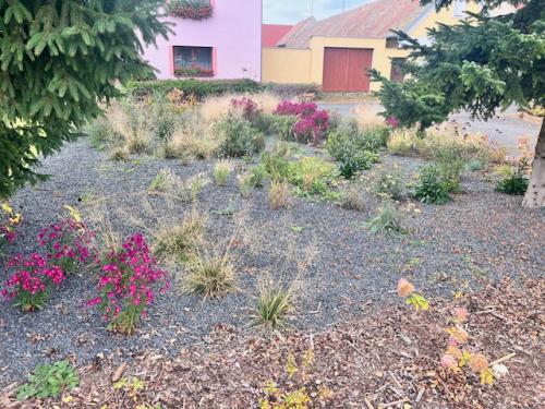 Osázení náves - zadní část